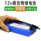 聚合物锂电池(8000mah)