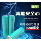 18650锂电池(3000mAh)