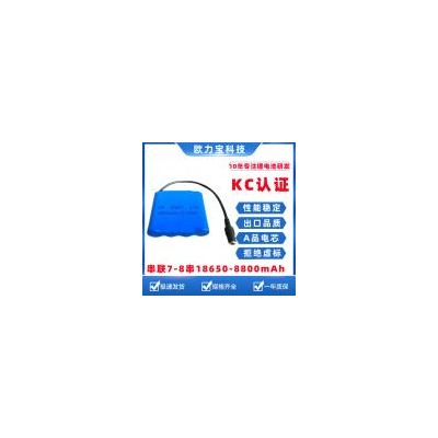 21700锂电池组(8800mah)