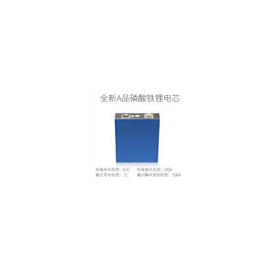 磷酸铁锂电池(12V100AH)