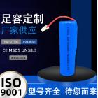 21700锂电池(3.7V 4500mAh)