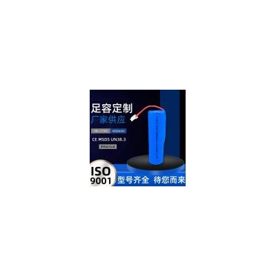 21700锂电池(3.7V 4500mAh)