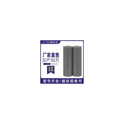 21700低温锂电池(4800mAh)