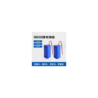 锂电池组(1800mAh)