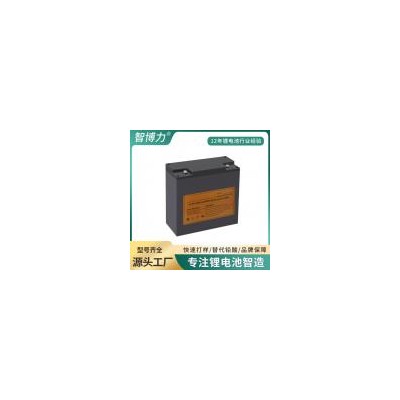 磷酸铁锂电池(12V20ah)
