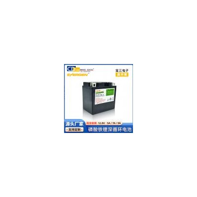 磷酸铁锂电池(12V5Ah)