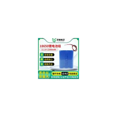 18650锂电池组(2200mah)