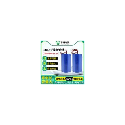 18650锂电池组