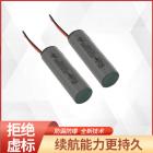 21700锂电池(4000mAh)