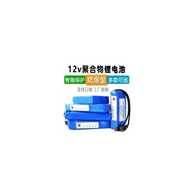 聚合物锂电池(10000mAh)