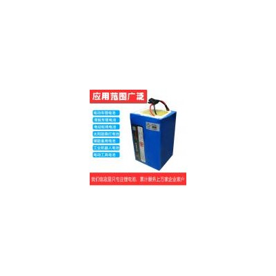 18650动力锂电池组(W-18650/21700-NSMP)
