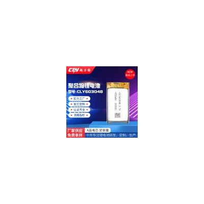 聚合物锂电池(950mAh)