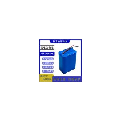 磷酸铁锂电池(3000mAh)