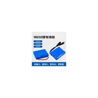 锂电池(1200mAh)