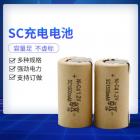 镍镉动力电池(SC1500)