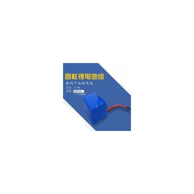 7.4V/8000mAh锂电池组(CH-00818)