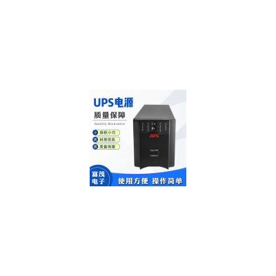 UPS电源(SUA1000U)
