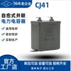 电子直流脉动电容器(CJ41)