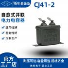 电力电容器(CJ41)