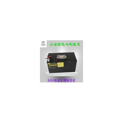 动力锂电池组(CH-00818)