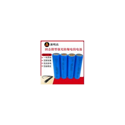 锂电池(2000mAh)