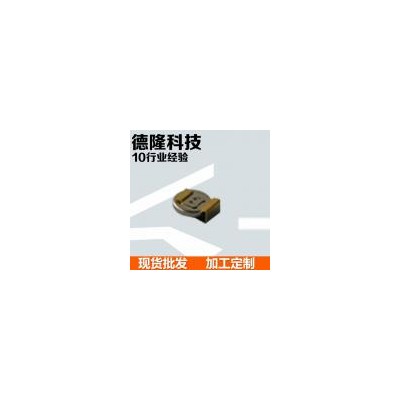 直插电解电容(16V100UF)