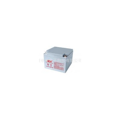 免维护铅酸蓄电池(12V24AH)
