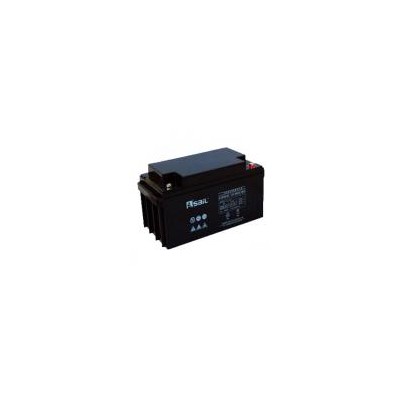 [新品] 免维护蓄电池(6-GFM-100)