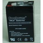 应急照明蓄电池(CP6V4AH)