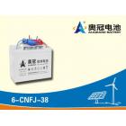 光伏储能电池(6-CNFJ-38)