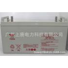 铅酸蓄电池(NP100-12)