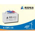 光伏储能电池(6-CNFJ-55)