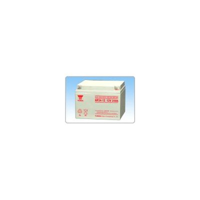 [新品] 免维护铅酸蓄电池(NP24-12)