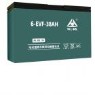 动力型铅碳蓄电池(6-EVF-38)