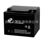 免维护铅酸蓄电池(FSL12-75)