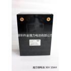 电动车锂电池组(60000（mah）48（V）)