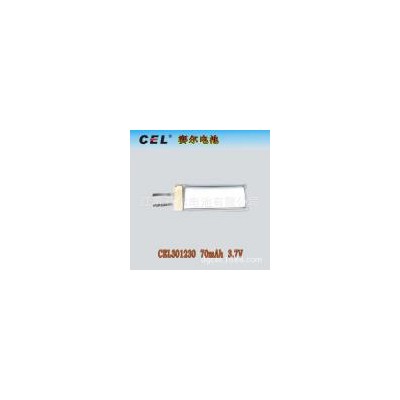 锂电池(CEL301230)