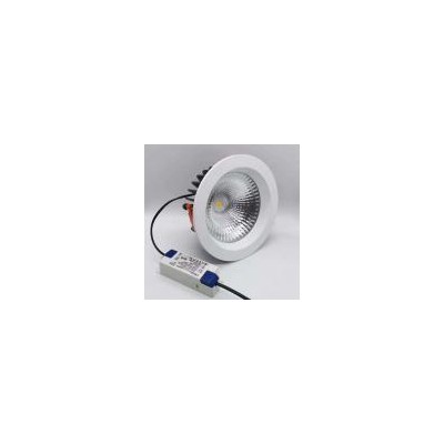 8英寸LED筒灯(D802-40W)