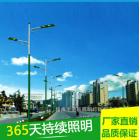 LED路灯(80W)