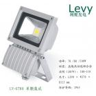 [促销] 80W大功率LED园林照明(LV-TG80)