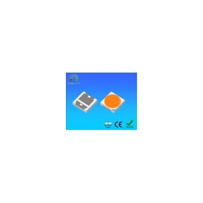 3535LED贴片灯珠