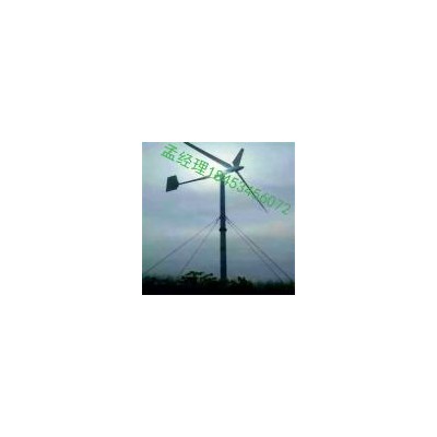 [新品] 风力发电机(1000W)