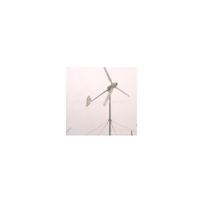 800w风力发电机