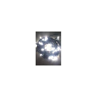 [新品] LED灯串 装饰彩灯 圣诞灯(NS10010)