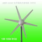 磁悬浮风力发电机(FW1.1-300W)