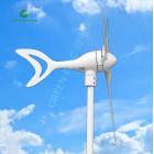 [促销] 300w风力发电机(Z-300W（A))