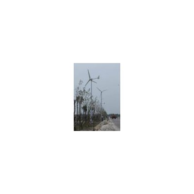 风力发电机(EWI-3000W)