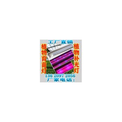 大功率300W植物灯