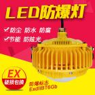 [新品] 隔爆型LED防爆灯(GCD813)