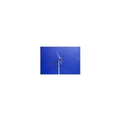 风力发电机(YF3.2-1000W)